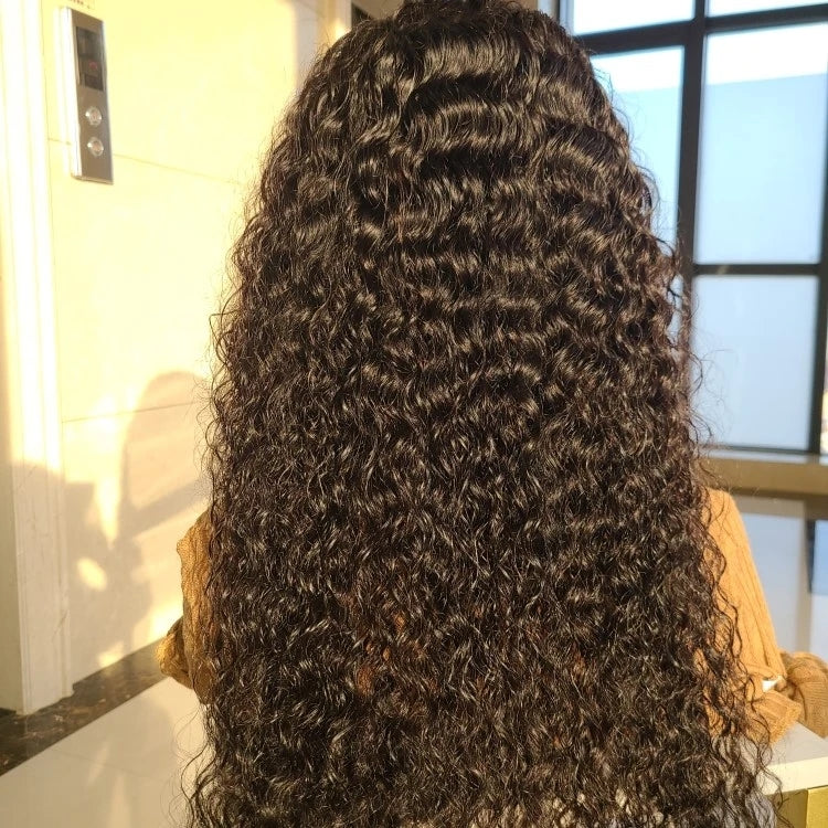 Brazilian Hair Lace Closure Wig