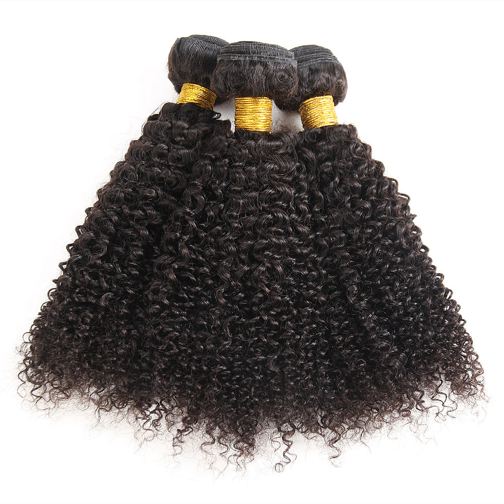 Kinky Curly Hair Wefts With Closure  